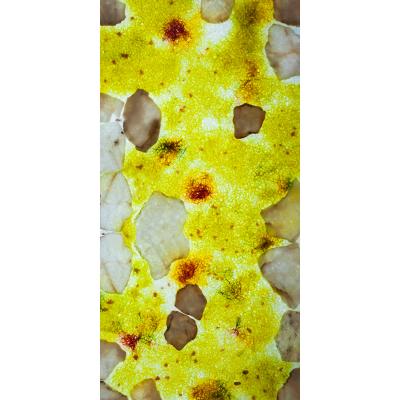 透光奢石板  亞馬遜黃 WF76047X