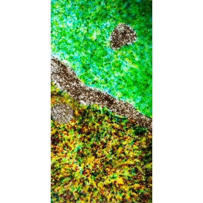 透光奢石板 翡翠金花 W76153X