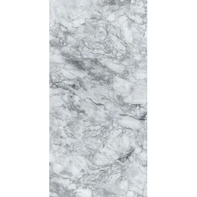 頂級魚肚灰  W11026C